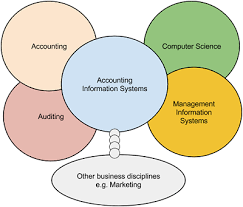 ACC 340 Week 3  Accounting Information Systems